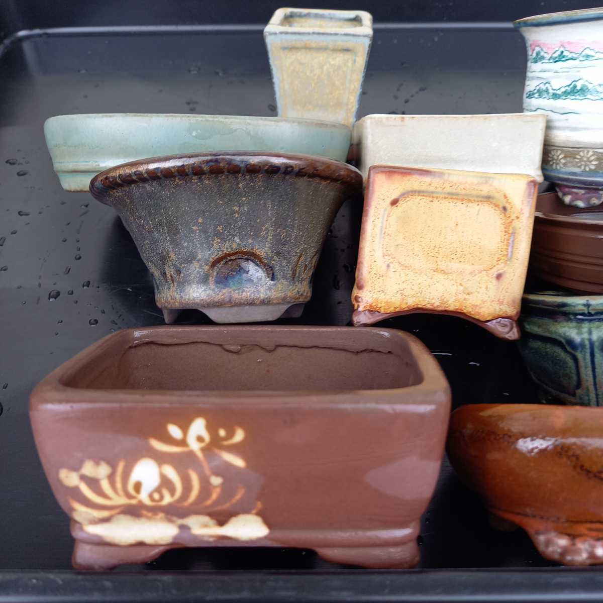 陶翠絵付け鉢小品盆栽山野草