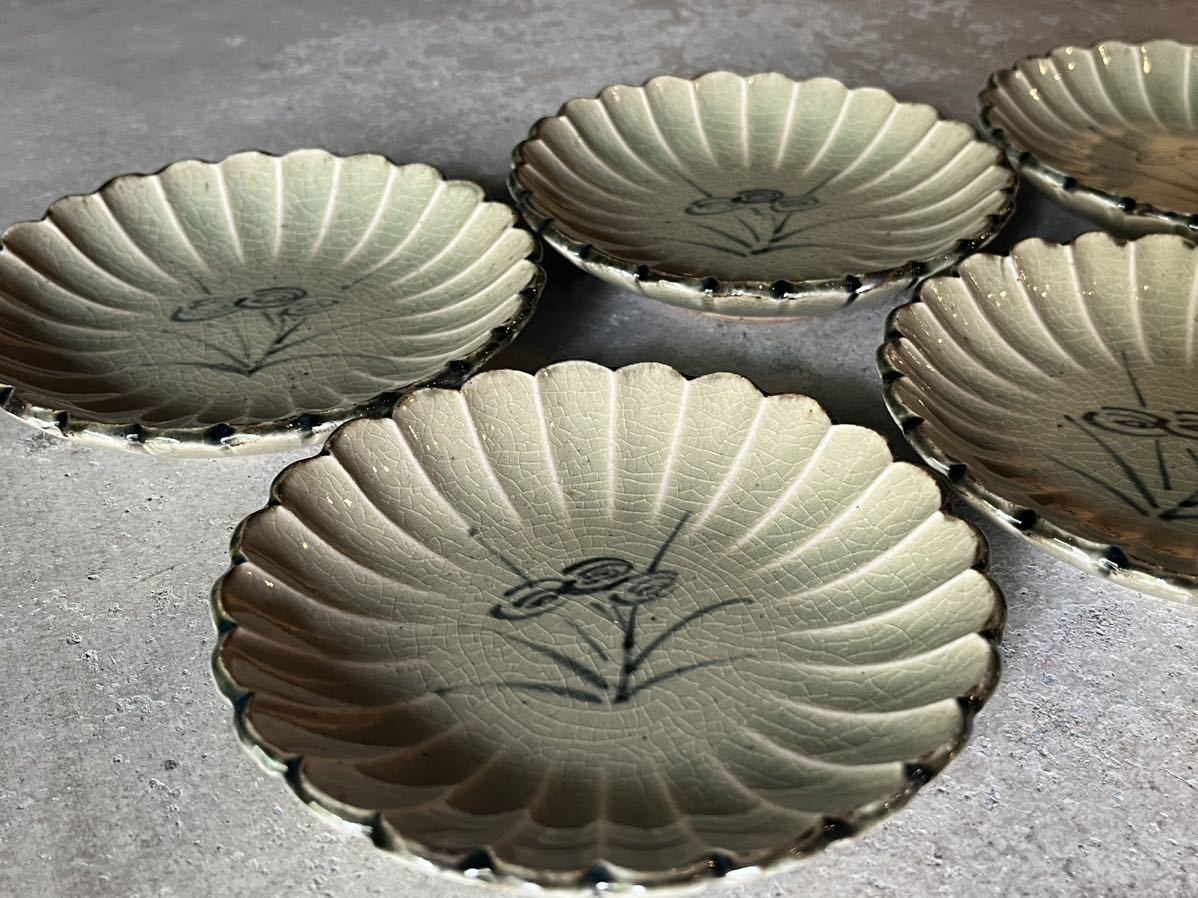 □人間国宝 加藤卓男 幸兵衛窯 御深井釉 菊皿 五客 共箱