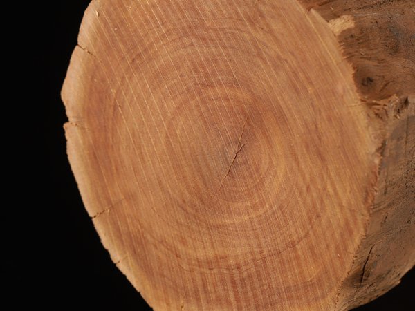 流】白檀 特大香木 原木 重量約2250g KJ034