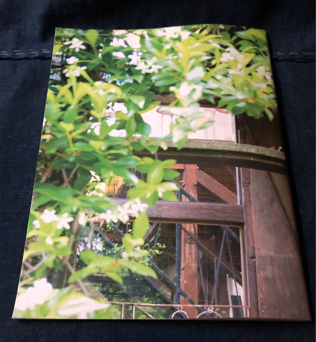 Spitz スピッツ ファンクラブ会報誌『Spitz Bergen（スピッツ ベルゲン