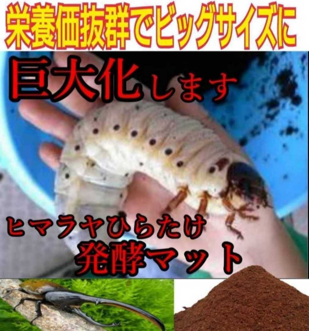 幼虫がビックになる！極上☆プレミアム発酵カブトムシマット【50L