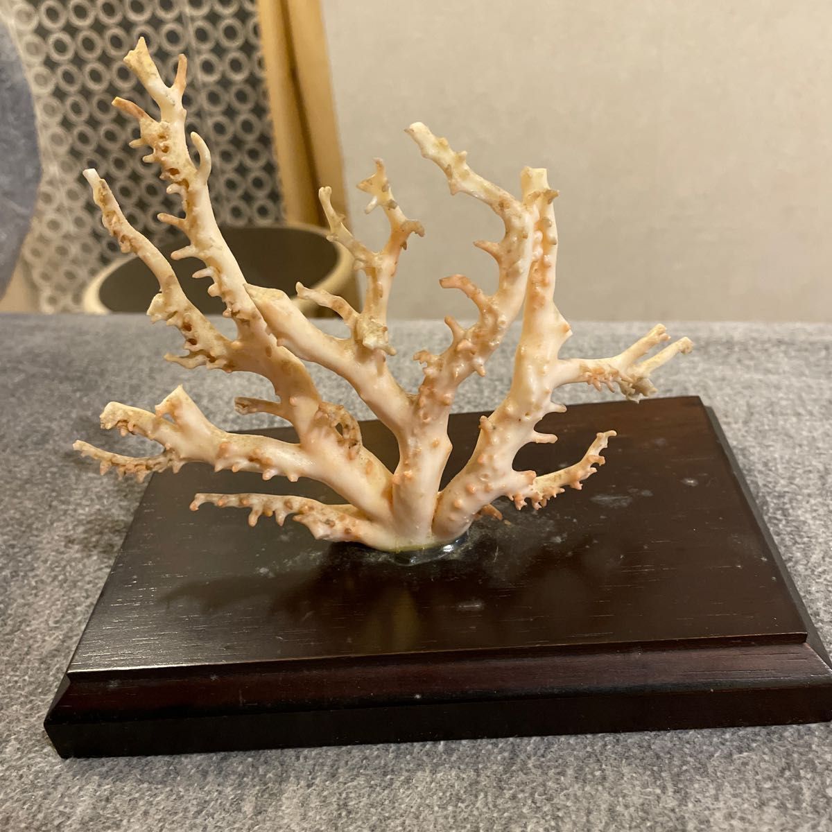 珊瑚原木 ピンク珊瑚 サンゴ置物 コーラル オブジェ インテリア｜Yahoo