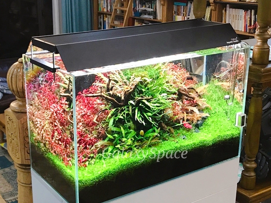 Chihiros WRGB2 Pro 90 水草 ライト 水槽 LED 育成 8176a6Fz+dL._AC_UF350,