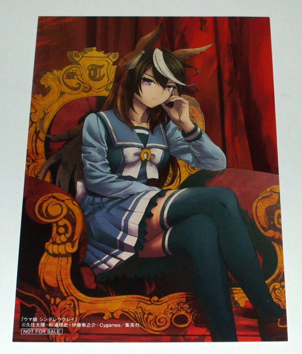 シンデレラグレイ シンボリルドルフ ポスター キャンペーン ウマ娘