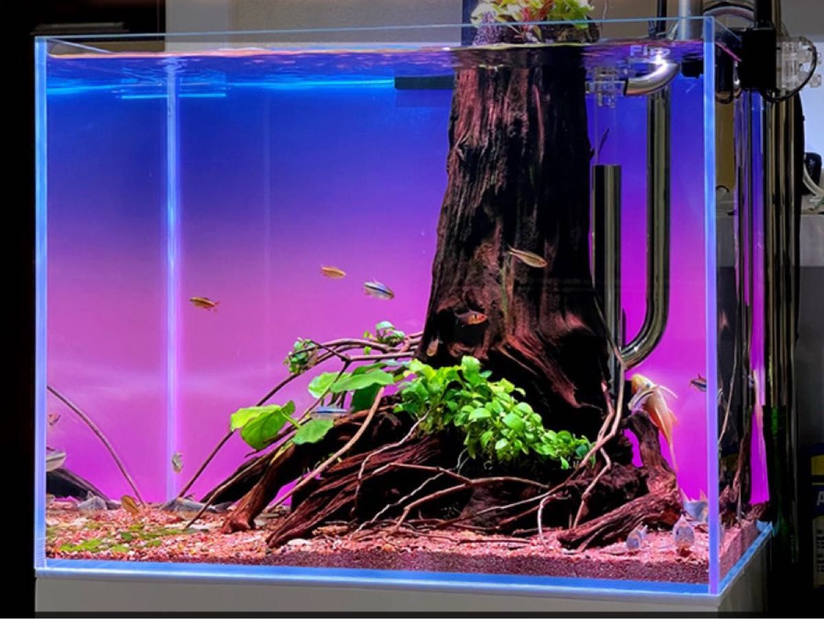 90水槽用RGBライトスクリーン