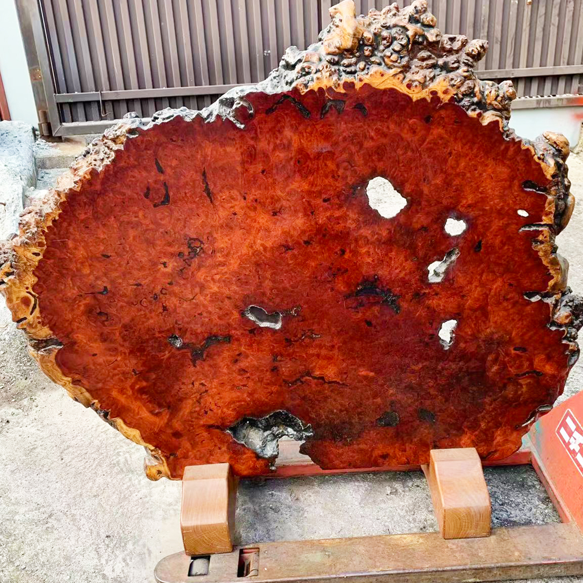 花梨 衝立 一枚板 天然木 瘤杢 玉杢 光沢あり スタンド付き 希少】花梨