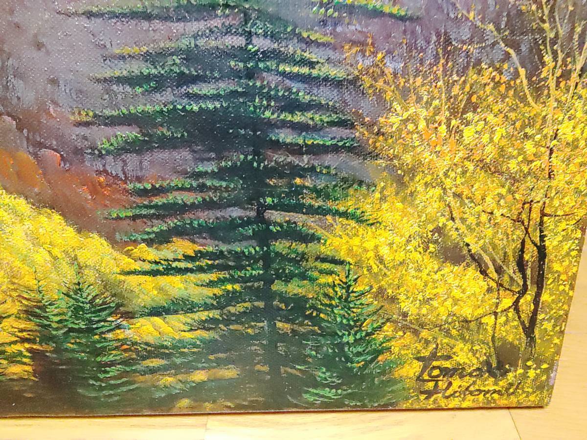 人見友紀 伝説の逃亡画家 油彩画 油絵 10号 人見友紀 伝説