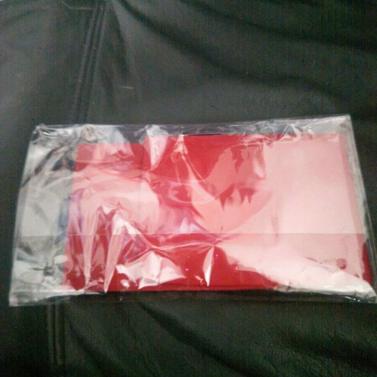 ROTTENGRAFFTY ﾛｯﾄﾝグラフティー 腕章｜Yahoo!フリマ（旧PayPayフリマ）