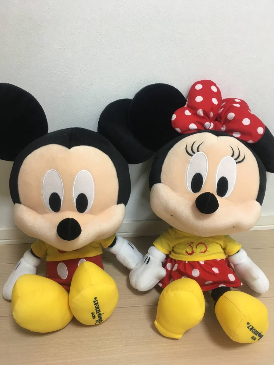 東京ディズニーリゾート 35周年 ミッキー ミニー ぬいぐるみ
