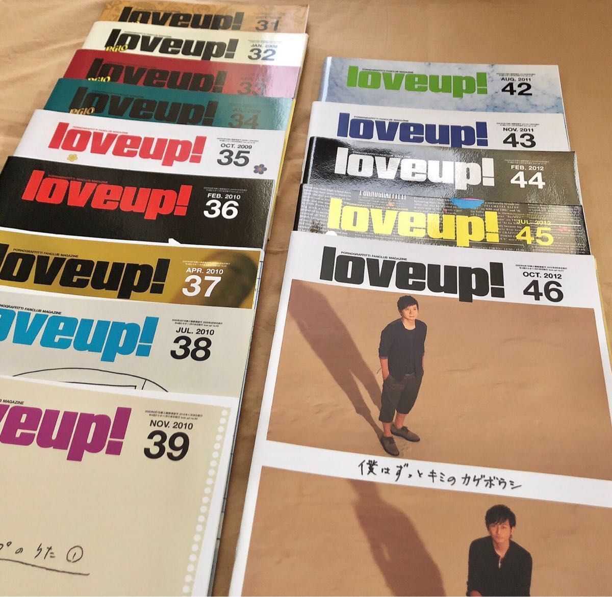 ポルノグラフィティ パンフレット ライブ LIVE 会報 セット 東京