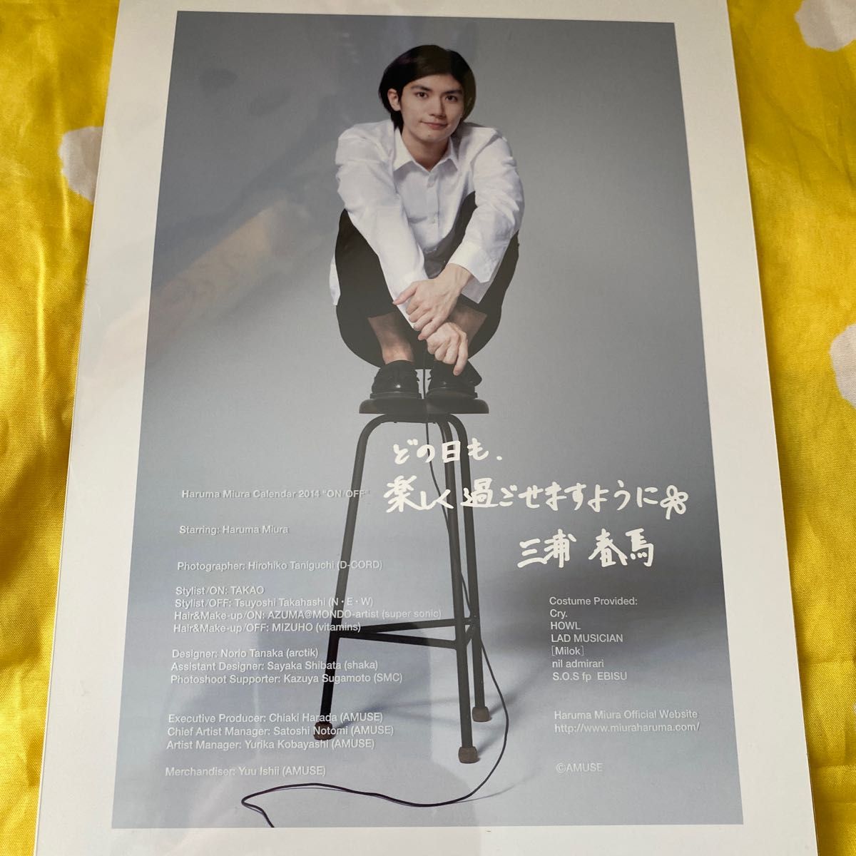 最終値下げ】三浦春馬 カレンダー 2014 ON/OFF 三浦春馬 カレンダー