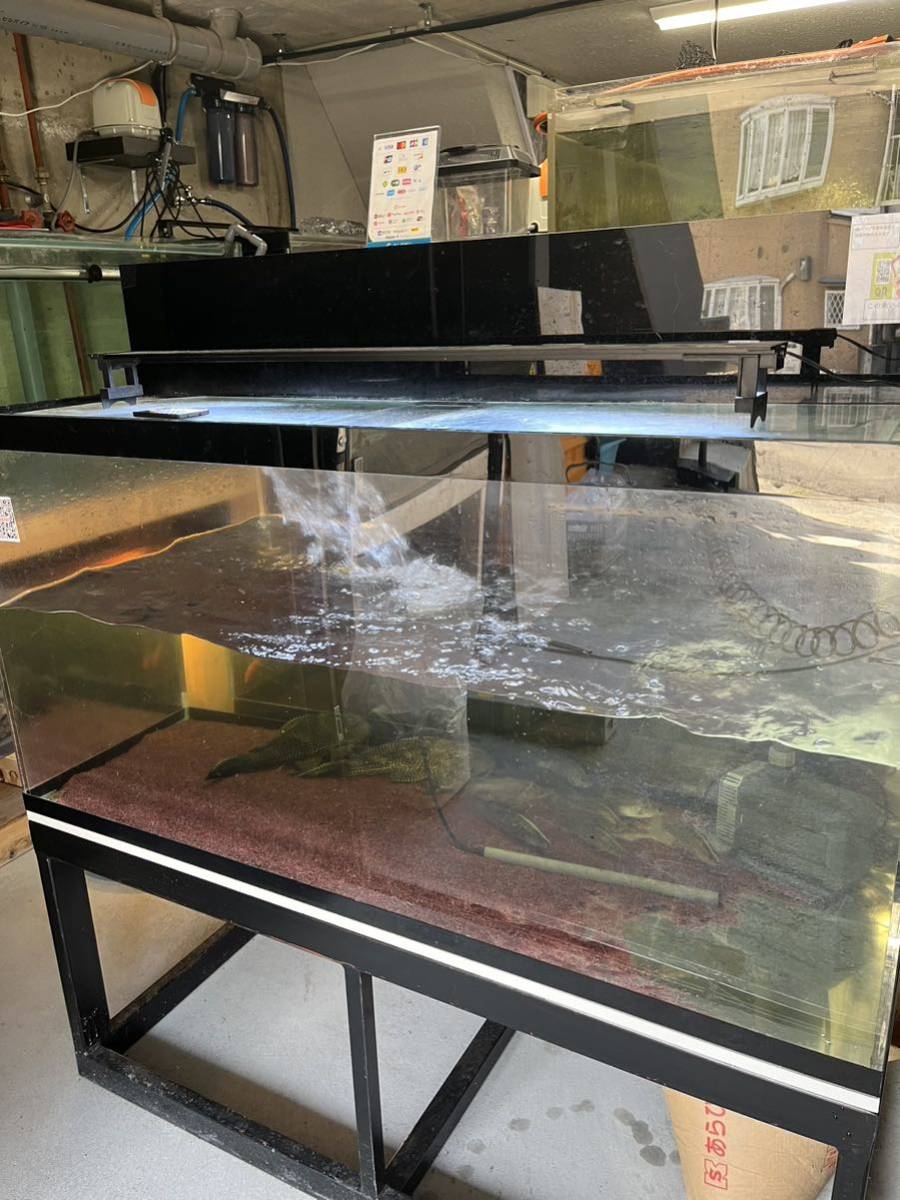 大型水槽 1800✕900✕600 上部フィルター