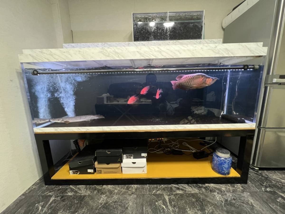 アクリル水槽 オーバーフロー水槽 1800 600 600h レイシー マグネット