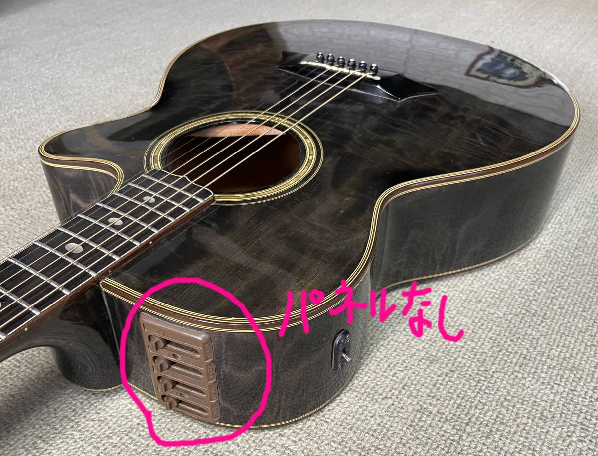 タカミネ ハードケース TAKAMINE ① TAKAMINE ( タカミネ ) HC-600