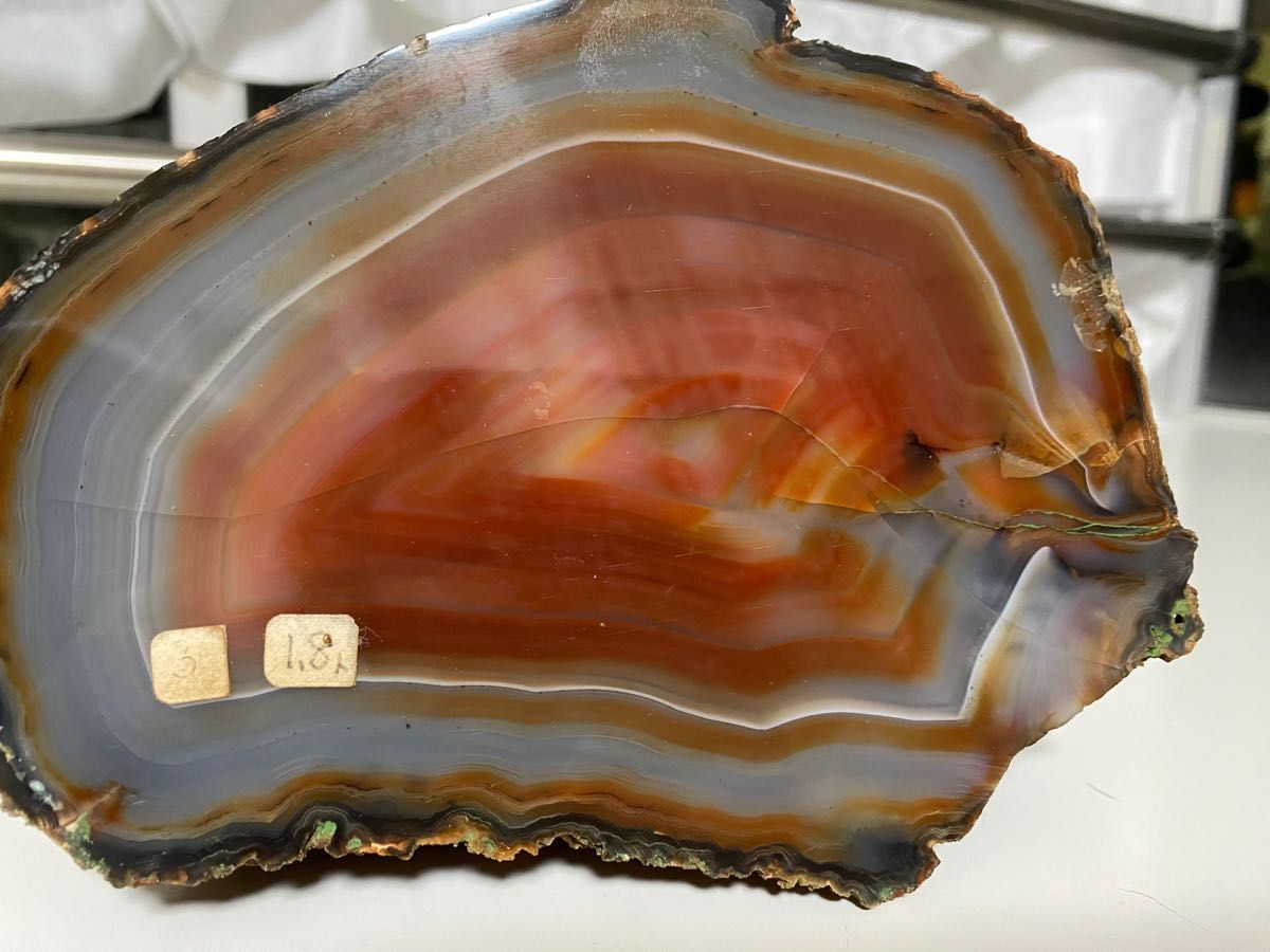 プリマス・ロックの孫みたいな石