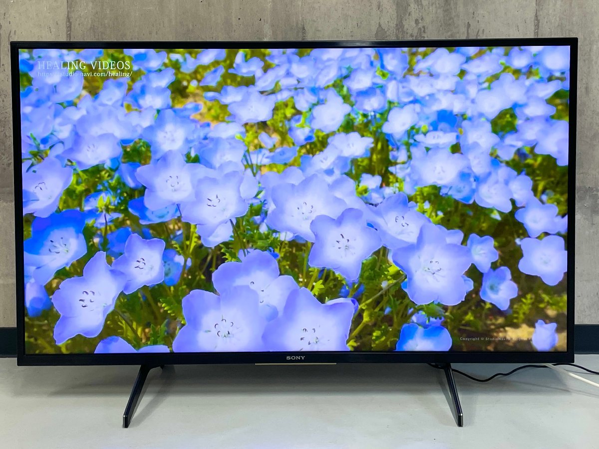 8/2SONY/ソニー 4K液晶テレビ KJ-43X8000H 43型 2023年製