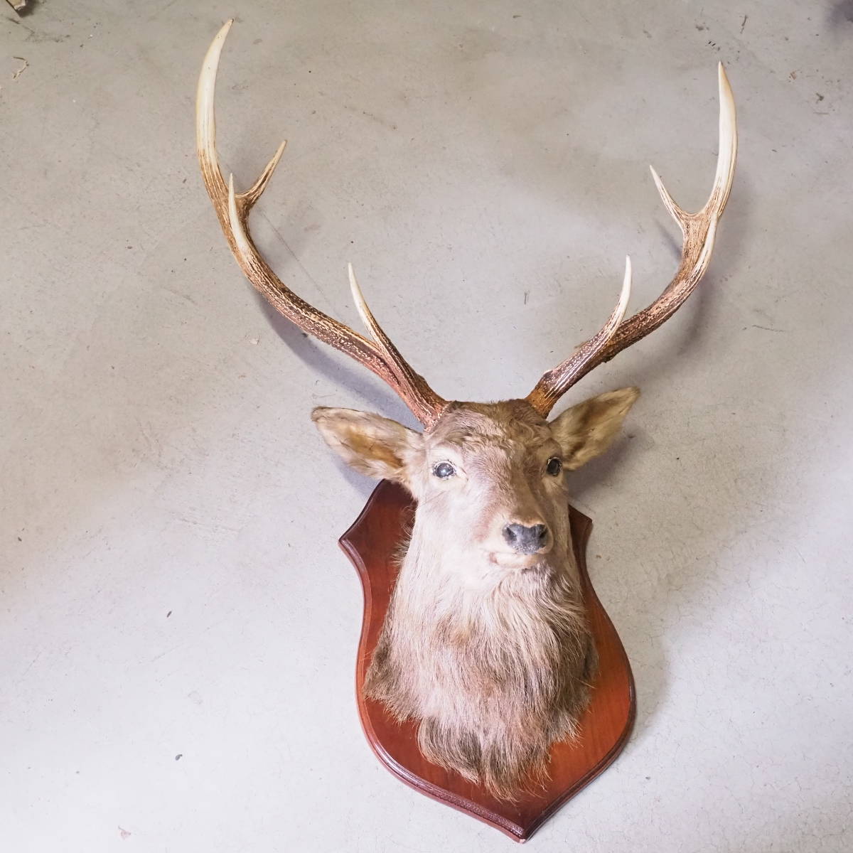 真作】絵画 棈木勇 水彩6号 旧横浜正金銀行本店木館 人気作家 K3