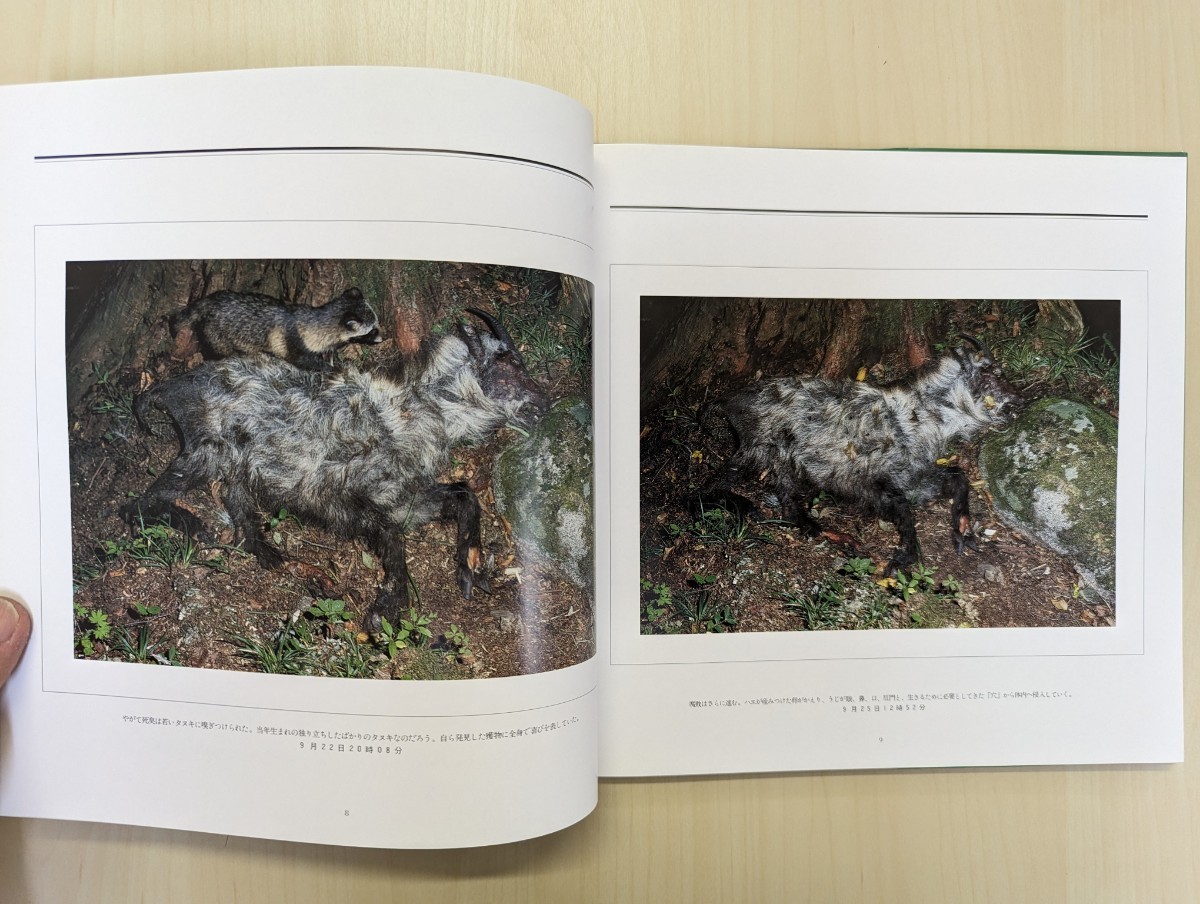 宮崎学 死 初版1刷】 宮崎学 写真集 「死」1994年 死: 宮崎学