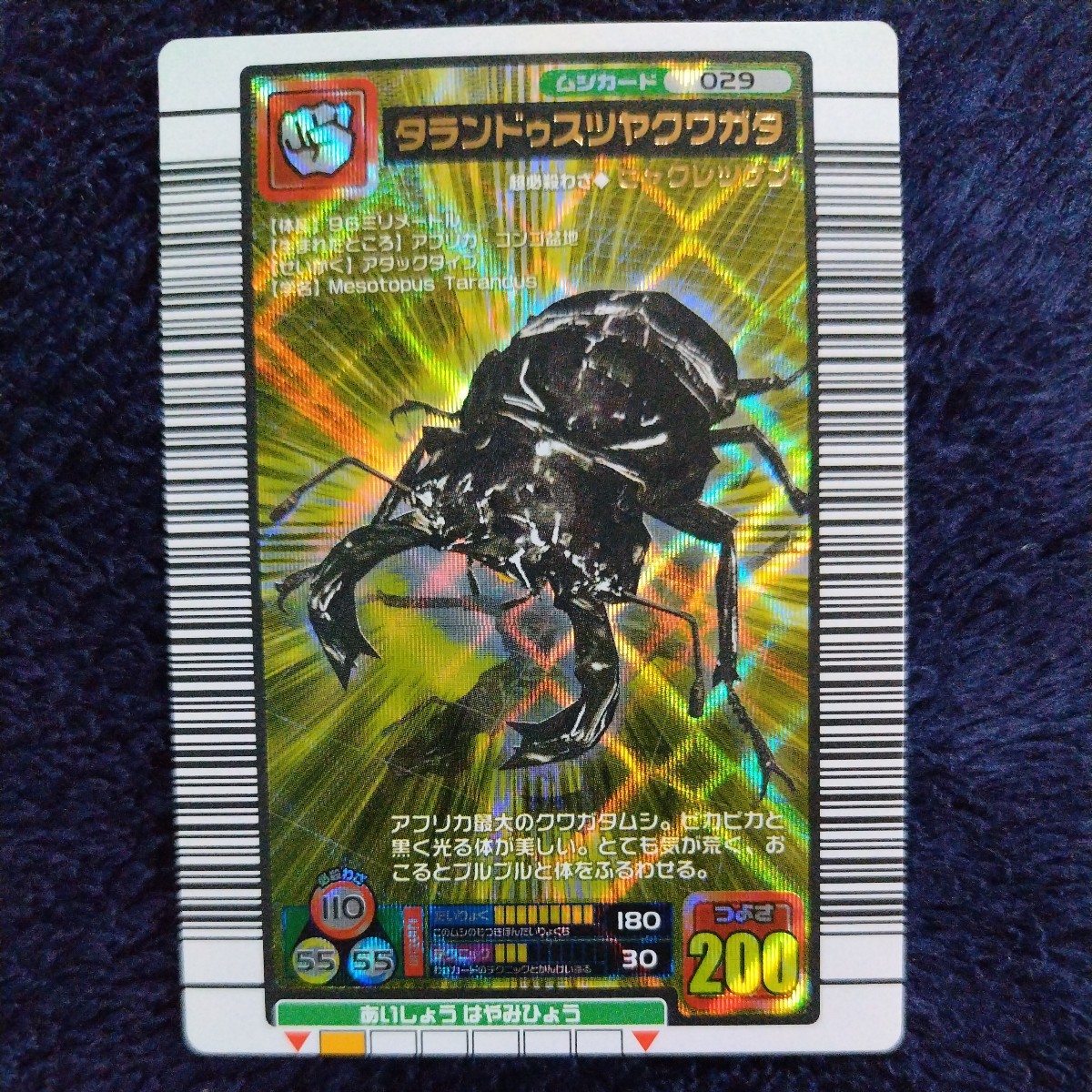 PSA10 タランドゥスツヤクワガタ 2003 AUTUMN PSA10 タランドゥスツヤ