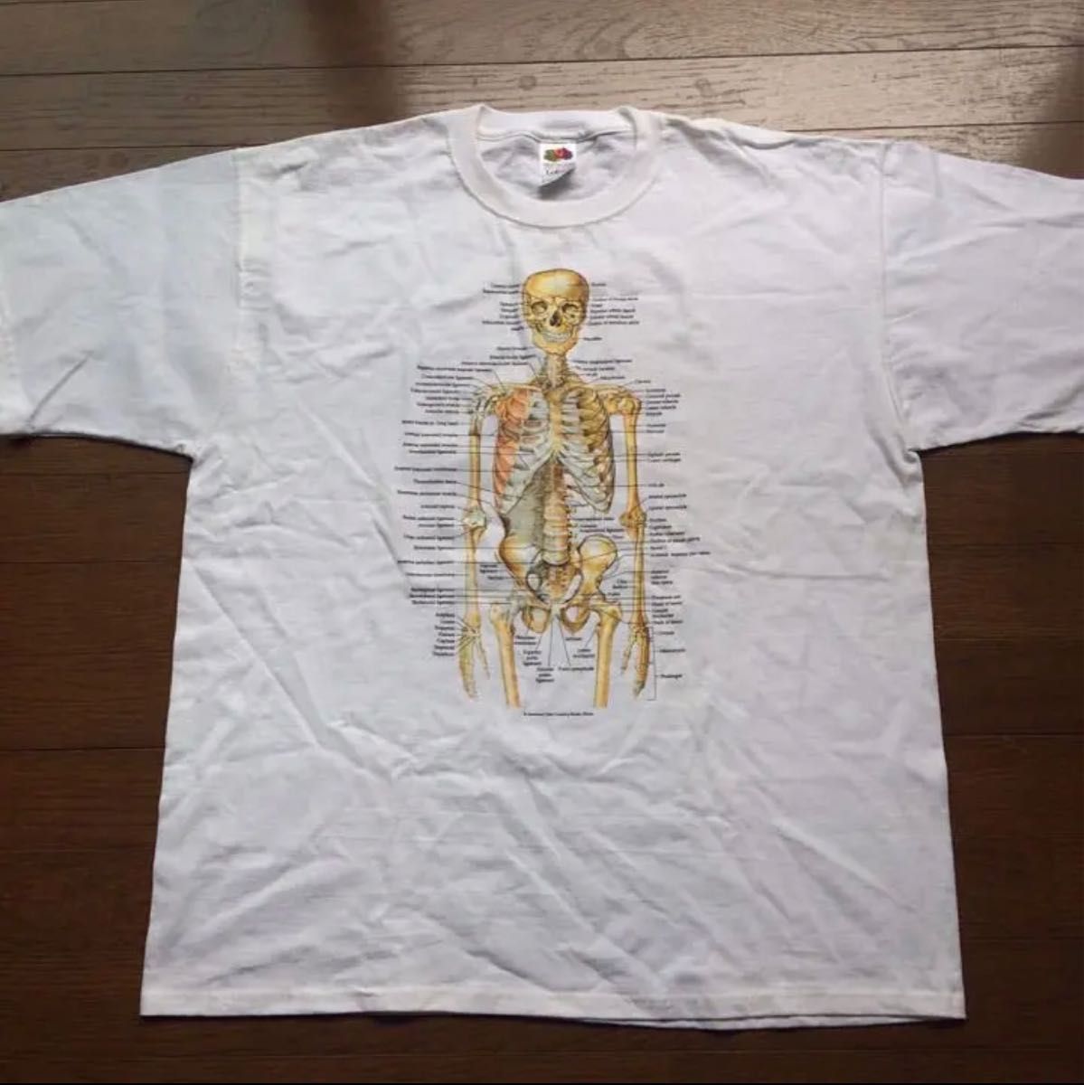 カートコバーン 愛用 Anatomical chart Vintage 骨格図 Tシャツ