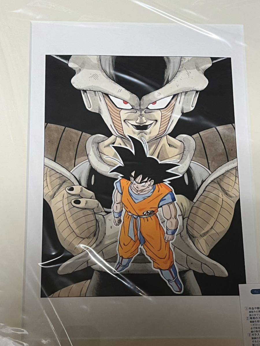 ドラゴンボール 複製原画 絵画 鳥山明 貴重 レア 【公式通販】