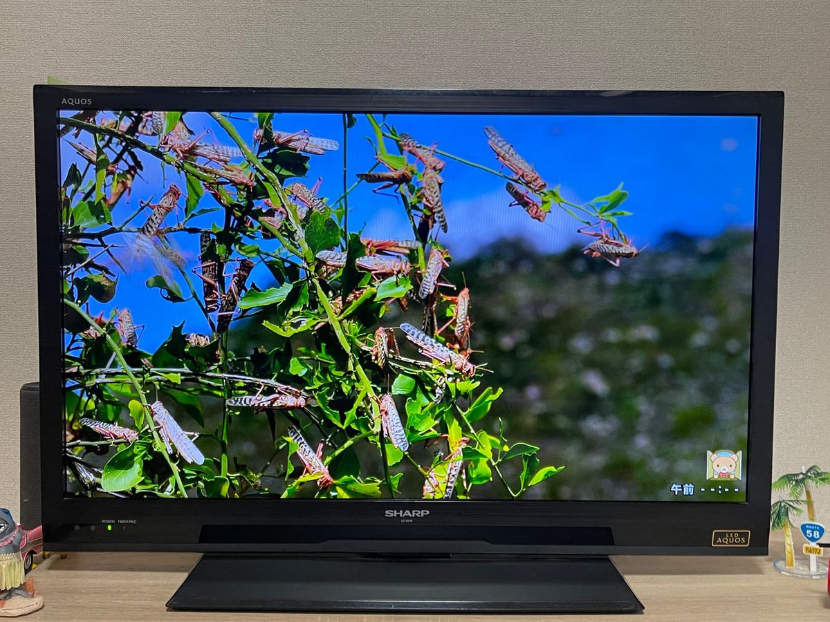 SHARP 2013年製 32インチ液晶テレビ