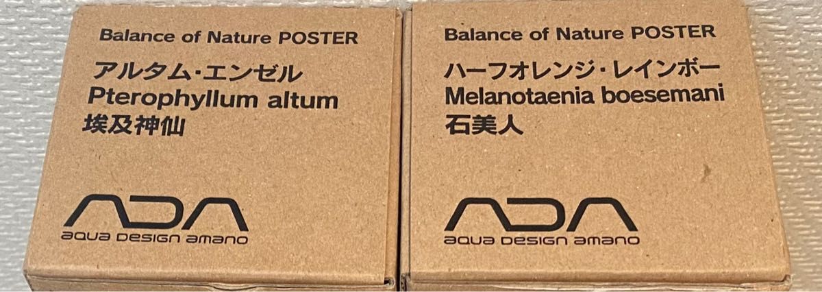 未使用品】ADA ポスター2種／Balance of Nature POSTER アクア