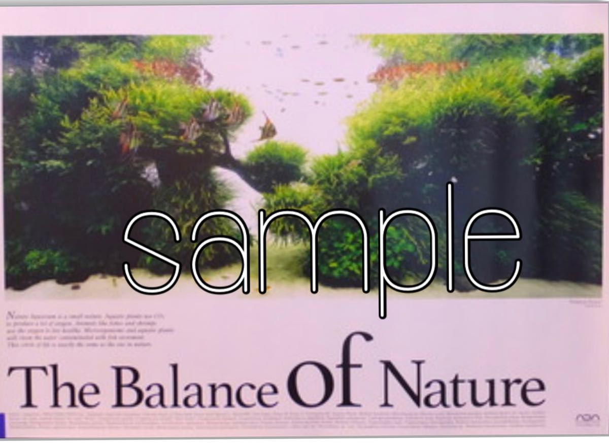 ADA 】Balance of Nature ポスター 天野尚 アクアリウム Balance of
