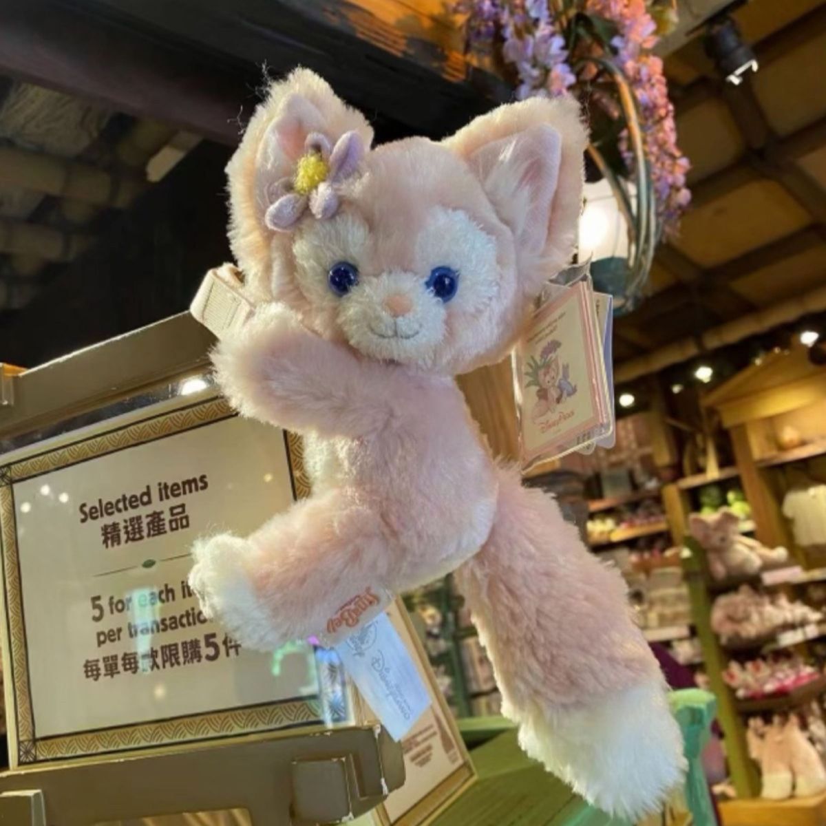 ちゃる❤︎₍ᐢ..ᐢ₎様 リーナベル クッキーアンぬいぐるみ カーテン