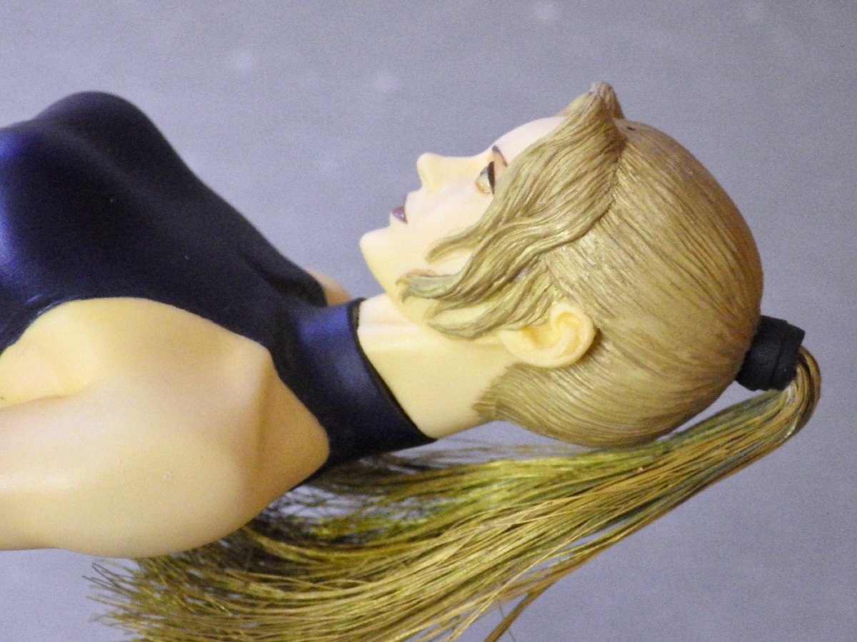 フューチャーモデルズ バーチャファイター サラ ガレージキット