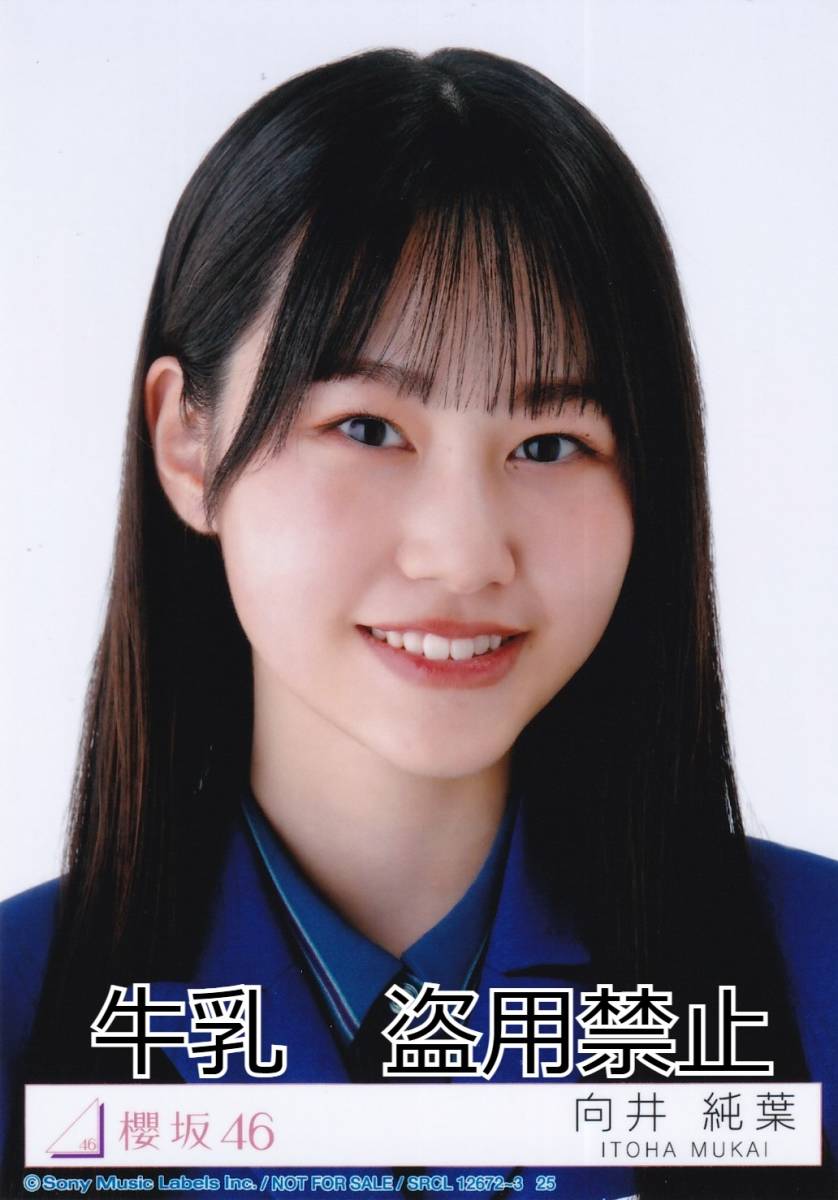 希少】櫻坂46 向井純葉 生写真 東京ドーム スペシャルプレゼント