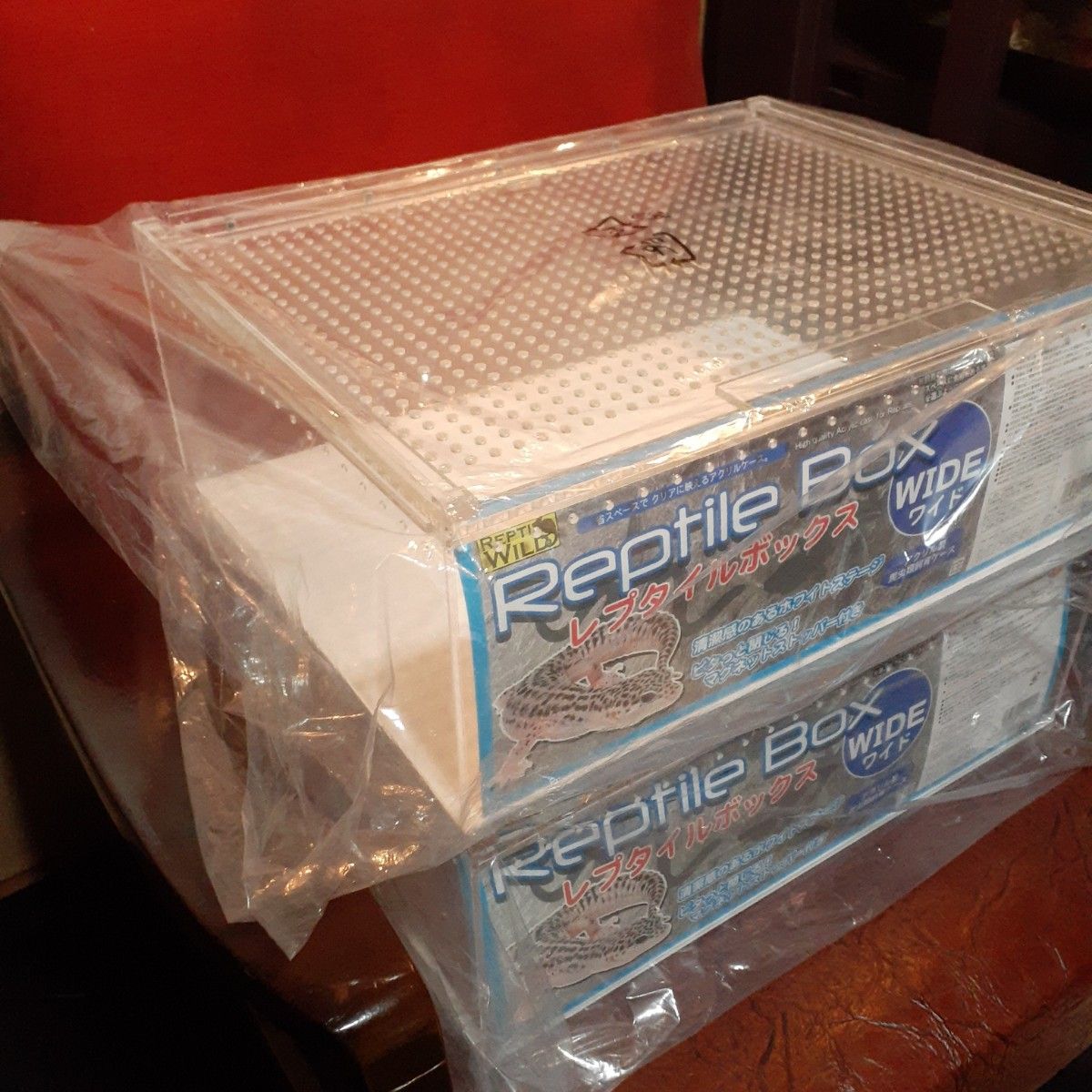 レプタイルボックス2個&ワイド2個セット 【公式通販】