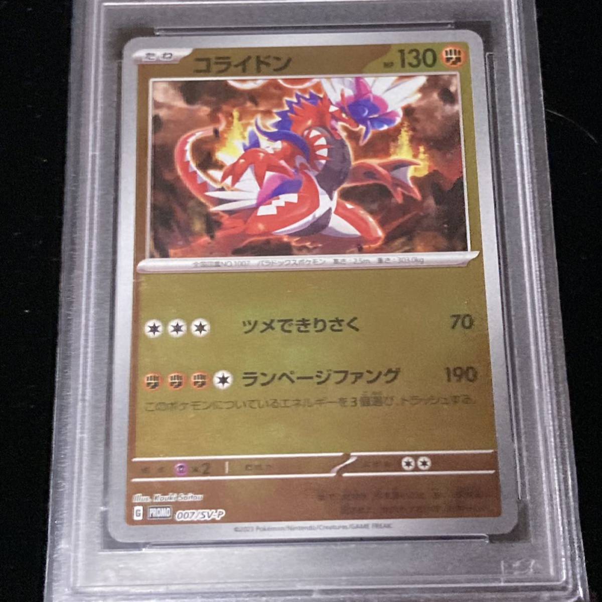 PSA 10 ポケモンカード プロモーションカード PROMO コライドン 鑑定品
