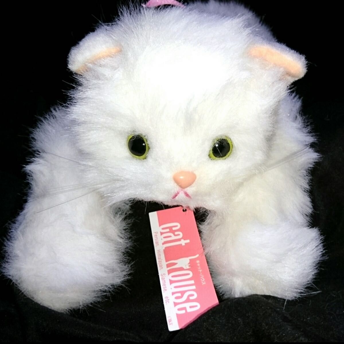 猫 ねこ ネコ オオイケ ペルシャ猫 ボビー 昭和ペルシャ デッド