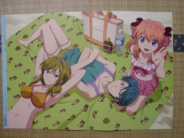 月刊少女野崎くん】佐倉千代 少女ロマンスWEB限定 懸賞 特製 缶バッジ