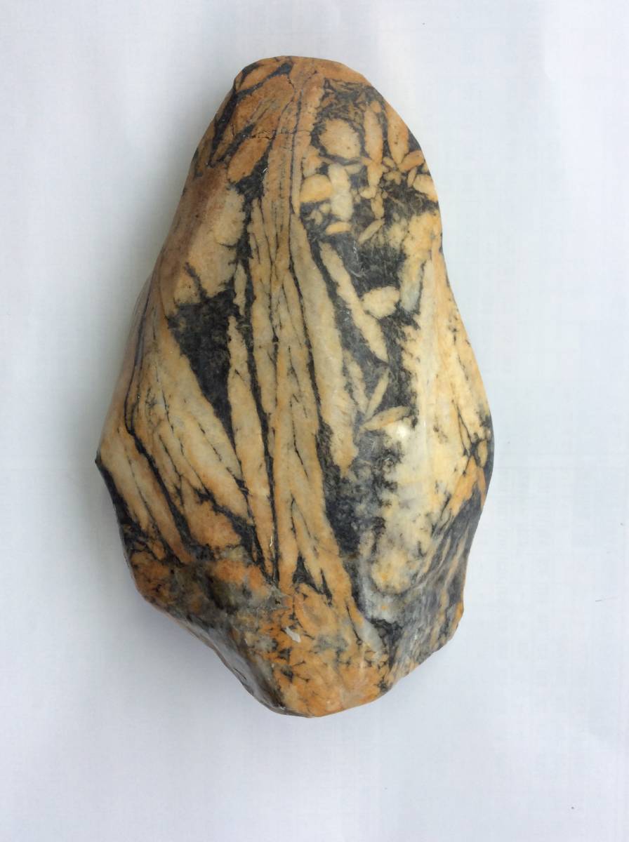 No1 竹葉石 鑑賞石｜Yahoo!フリマ（旧PayPayフリマ）