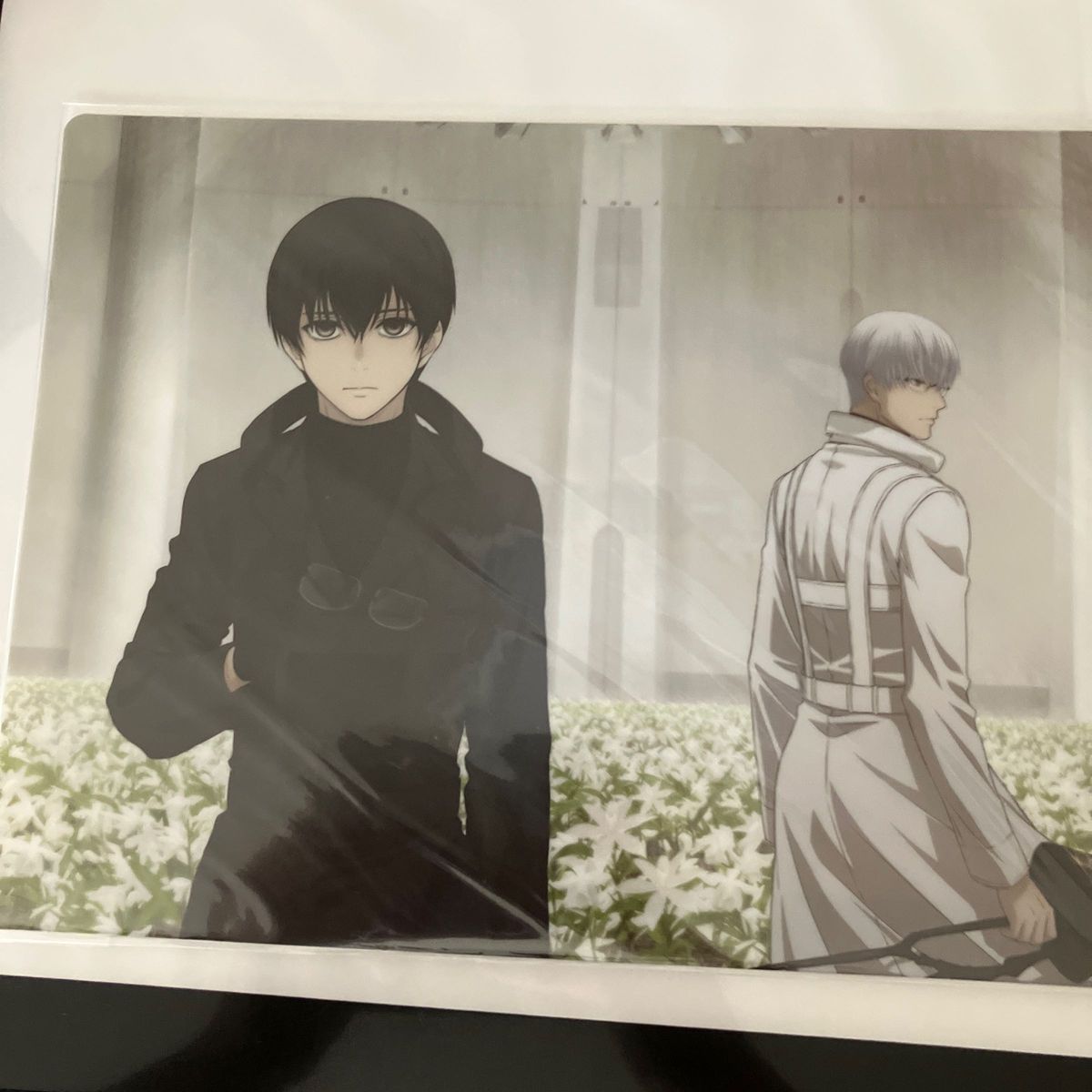 東京喰種 トーキョーグール 金木研 有馬貴将 クリアファイル 東京喰種