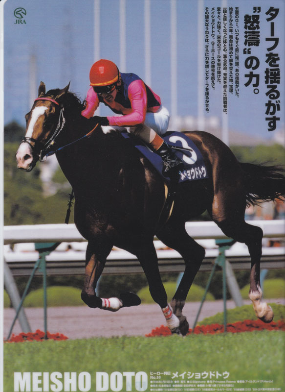 JRA ヒーロー列伝50 メイショウドトウB3ポスター