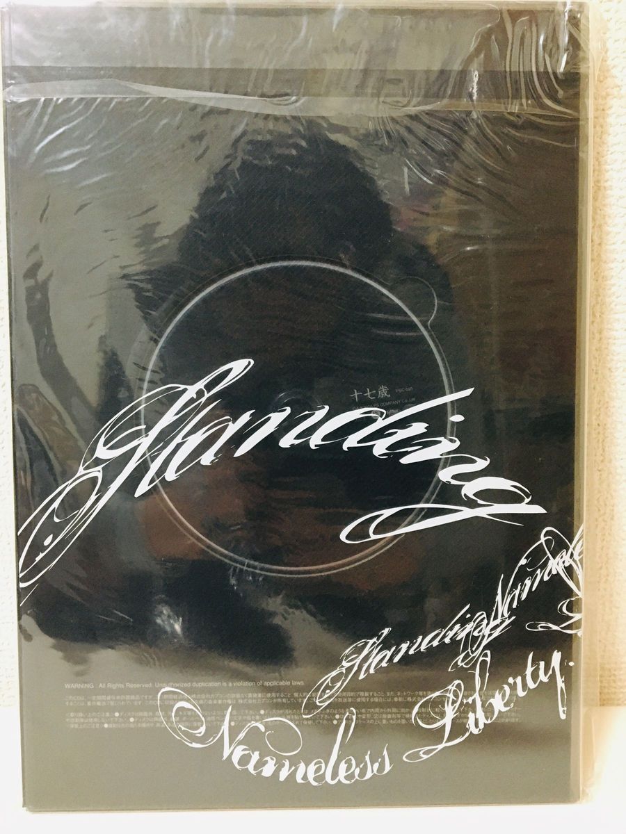 the GazettE パンフレット 限定版 十七歳 CD付き 【新品未使用