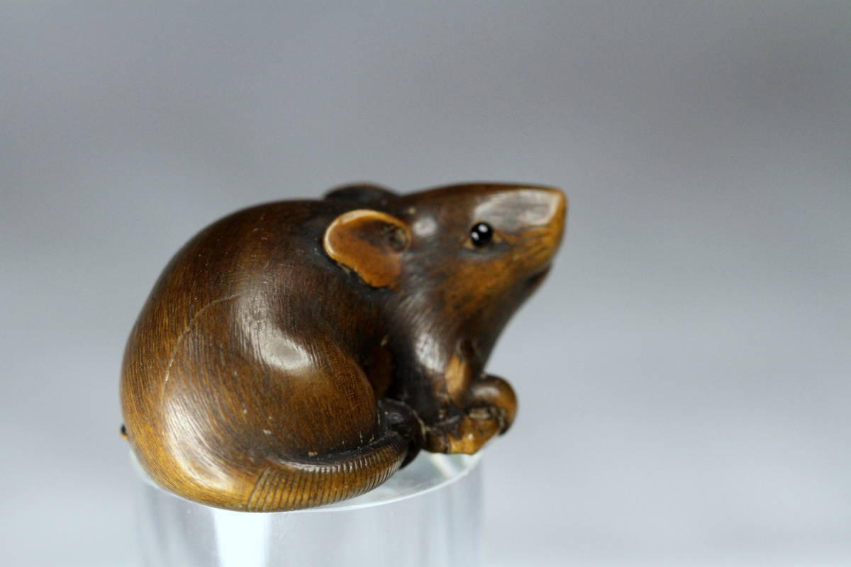 加納友一 在銘 柘植彫 根付 「煮干しを抱える ねずみ (鼠)」 名作