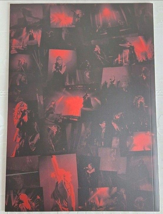 Acid Black Cherry アリーナツアー L パンフレット 2015 ABC yasu 林