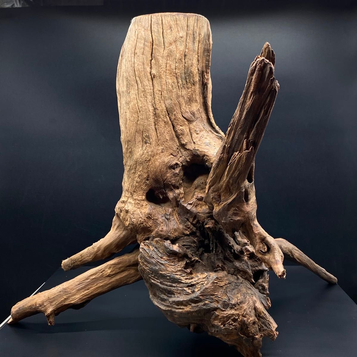 MRW-4952 特大赤系流木 切り株流木 一点物 アクアリウム｜Yahoo!フリマ