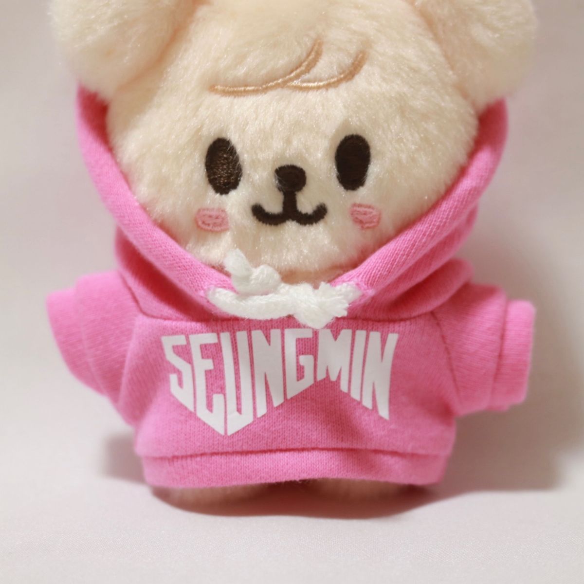 straykids スキズ テディベア teddy bear アイエン スンミン straykids