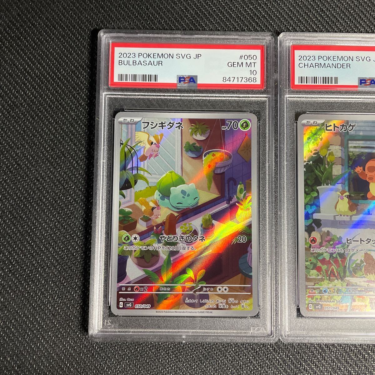 3連番 PSA10 スペシャルデッキセットex フシギダネ ヒトカゲ ゼニガメ