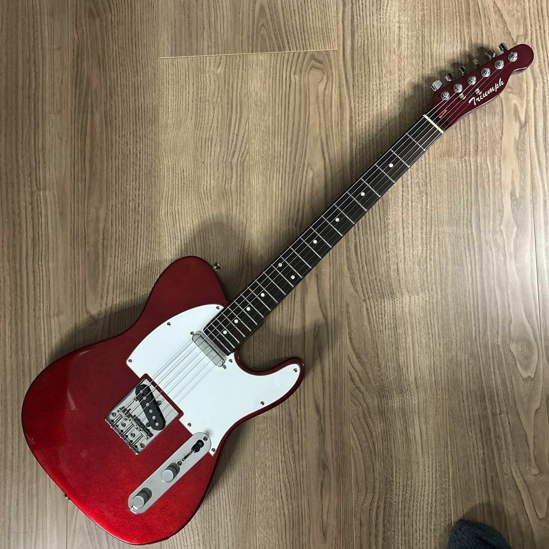 トライアンフ Triumph テレキャスター エレキギター レリック加工