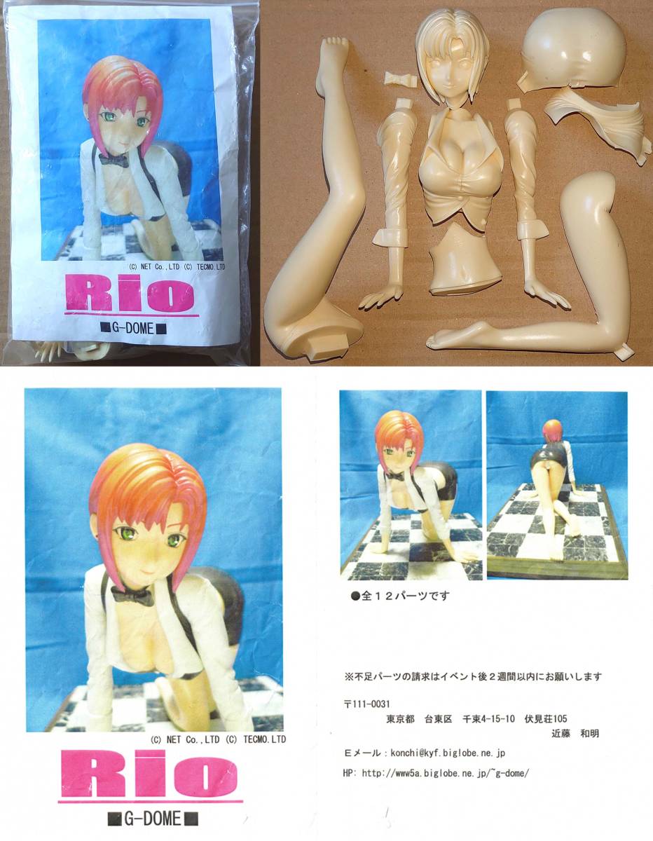 未組立】G-DOME Rio スーパーブラックジャック レジンキャスト