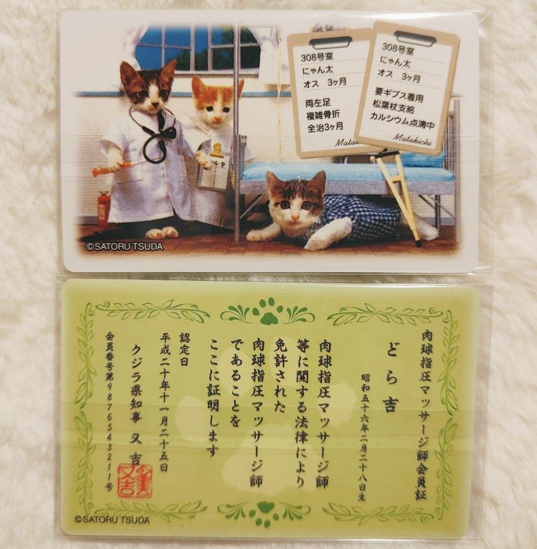 No N-010】なめ猫 なめんなよ カードコレクション2 2枚セット｜Yahoo