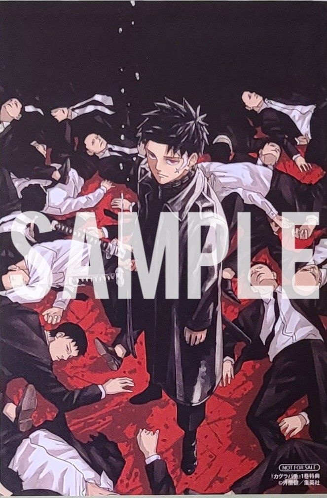 カグラバチ 初版 全巻 シュリンク付 アニメイト特典 カグラバチ 全巻