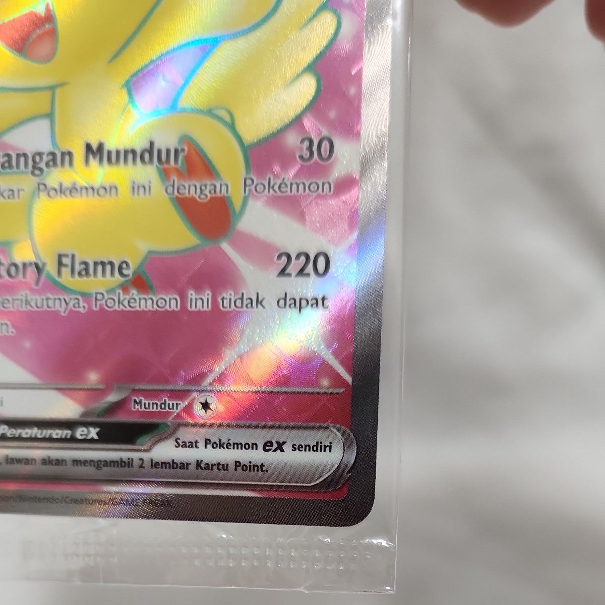 ビクティニbwr ビクティニ争奪戦プロモ ビクティニ争奪戦プロモ