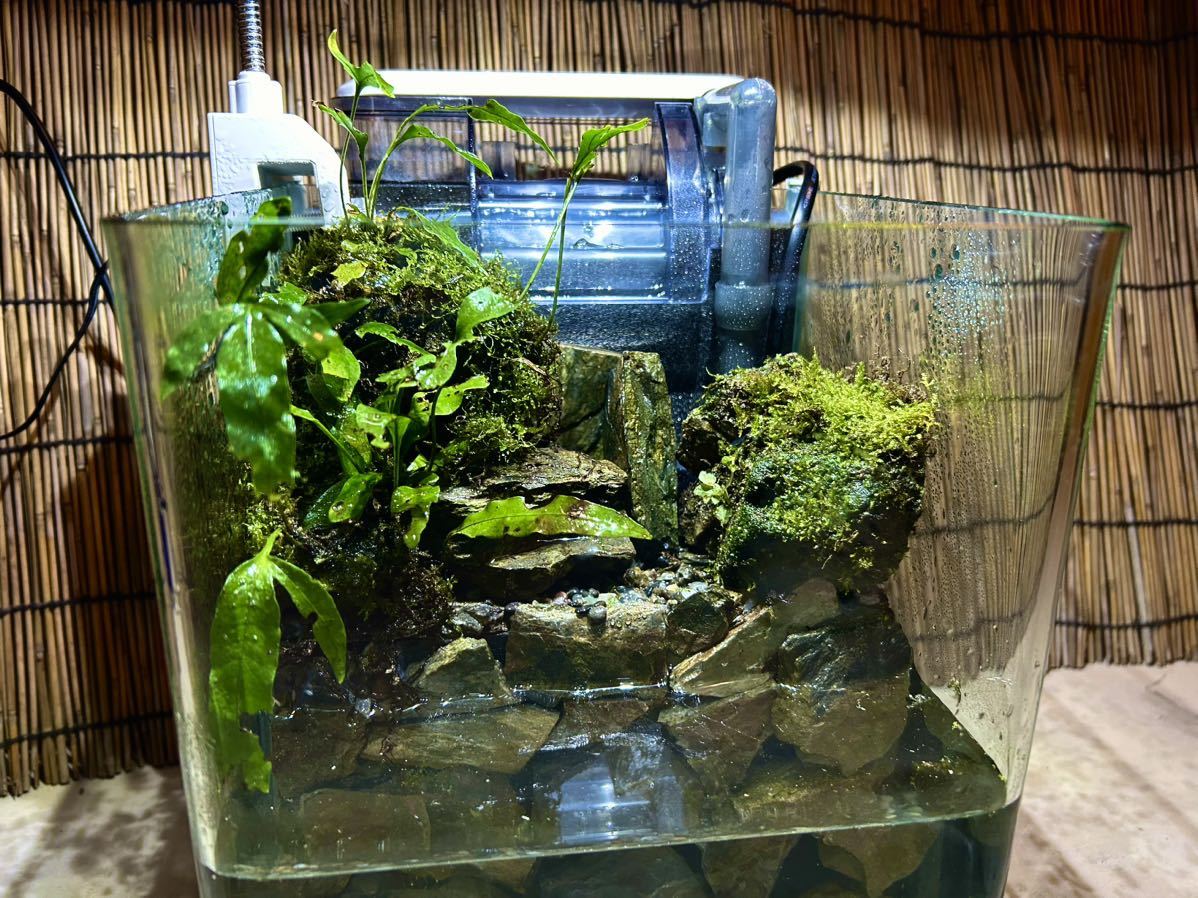 滝の流れるアクアテラリウム 20cm×20cm×25cm オンライン 滝の流れる